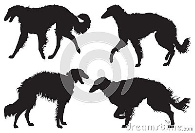 Borzoi â€“ Russian Wolfhound Dog Breed Silhouettes Vector Illustration